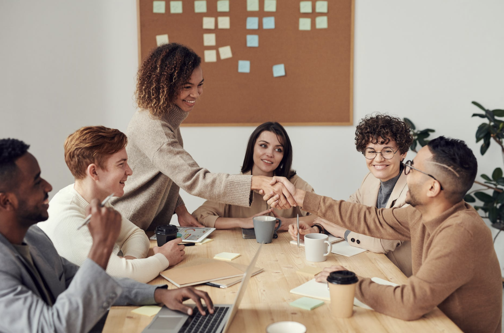 Applying Collaboration to Sales: North Inc.’s Strategy